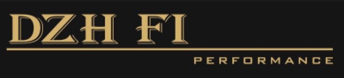 Dzh Fi Performance  logo