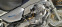 Обява за продажба на Moto Guzzi 750 Nevada ~5 555 лв. - изображение 6