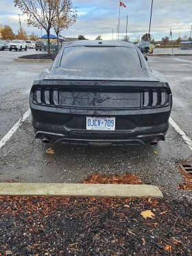 Ford Mustang * CARFAX * БЕЗ ПЪРВОНАЧАЛНА ВНОСКА - 32000 лв. / 16361.34 € - 37990634 8 | Car24.bg Ford Mustang * CARFAX * БЕЗ ПЪРВОНАЧАЛНА ВНОСКА - 32000 лв. / 16361.34 € - 37990634 8