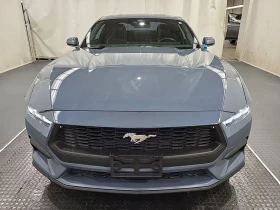 Ford Mustang * ECOBOOST * CARFAX * ЦЕНА ДО БГ - 52850 лв. / 27021.78 € - 88843575 8 | Car24.bg Ford Mustang * ECOBOOST * CARFAX * ЦЕНА ДО БГ - 52850 лв. / 27021.78 € - 88843575 8