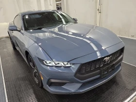 Ford Mustang * ECOBOOST * CARFAX * ЦЕНА ДО БГ - 52850 лв. / 27021.78 € - 88843575 2 | Car24.bg Ford Mustang * ECOBOOST * CARFAX * ЦЕНА ДО БГ - 52850 лв. / 27021.78 € - 88843575 2