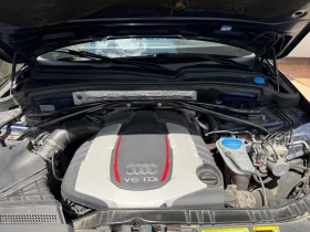 Audi SQ5 undefined | Auto.bg — изображение 11 Audi SQ5 undefined | Auto.bg — изображение 11