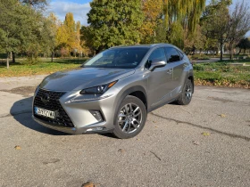Lexus NX 300h 2018 - Car24.bg Lexus NX 300h 2018