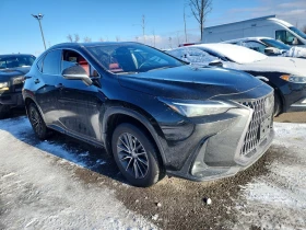 Lexus NX 350h CARFAX АВТО КРЕДИТ - 44850 лв. / 22931.44 € - 75435710 2 | Car24.bg Lexus NX 350h CARFAX АВТО КРЕДИТ - 44850 лв. / 22931.44 € - 75435710 2