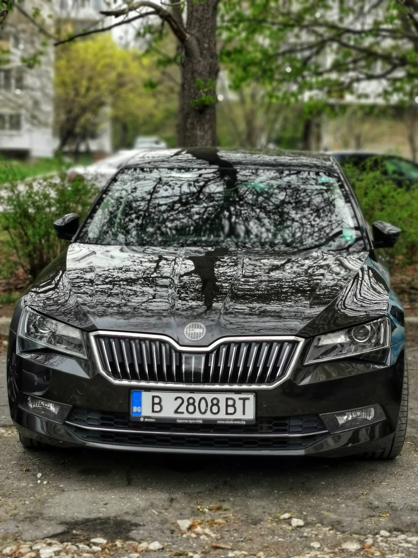 Skoda Superb L&K 4х4 7DSG - изображение 2 | Auto.bg Skoda Superb L&K 4х4 7DSG - изображение 2