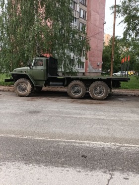 Ural Crone | Mobile.bg   9