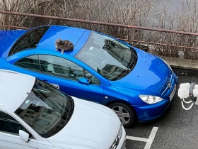 Peugeot 307 CC | Auto.bg — изображение 4 Peugeot 307 CC | Auto.bg — изображение 4