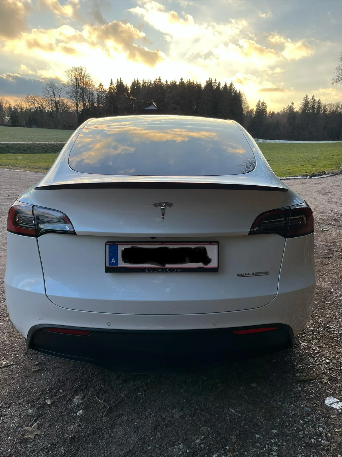 Tesla Model Y Performance USS датчици 2022 45 000 EUR ID