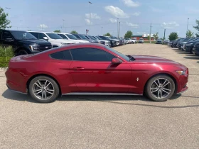 Ford Mustang * EcoBoost * АВТОКРЕДИТ БЕЗ ПЪРВОНАЧАЛНА ВНОСКА* | Auto.bg — изображение 3 Ford Mustang * EcoBoost * АВТОКРЕДИТ БЕЗ ПЪРВОНАЧАЛНА ВНОСКА* | Auto.bg — изображение 3
