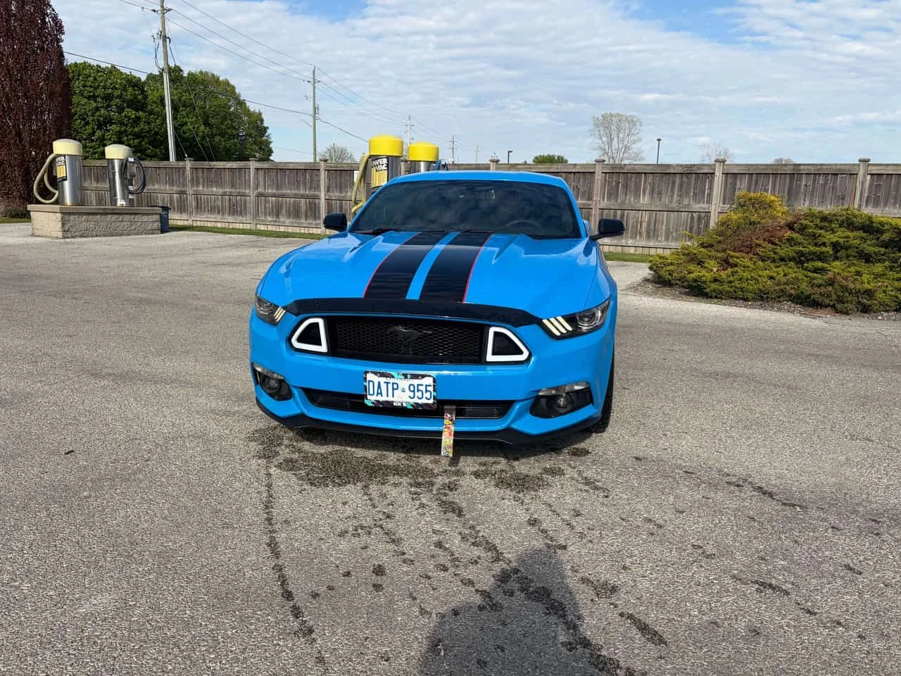 Ford Mustang * EcoBoost Premium * CARFAX * ЦЕНА ДО БГ | Auto.bg — изображение 1 Ford Mustang * EcoBoost Premium * CARFAX * ЦЕНА ДО БГ | Auto.bg — изображение 1