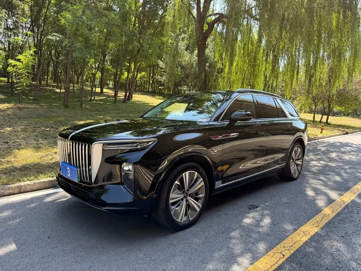 HongQi E-HS9 undefined | Auto.bg — изображение 1 HongQi E-HS9 undefined | Auto.bg — изображение 1