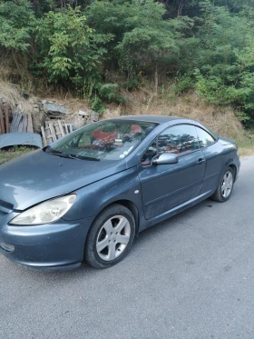 Снимка Peugeot 307