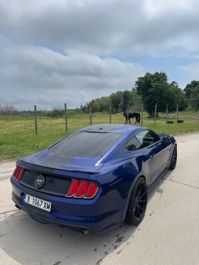Ford Mustang 5.0 50th Anniversary | Auto.bg — изображение 3 Ford Mustang 5.0 50th Anniversary | Auto.bg — изображение 3