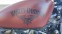 Обява за продажба на Harley-Davidson Sportster 883 ~16 800 лв. - изображение 4