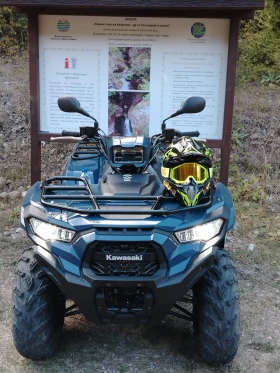 Kawasaki Brute Force 450