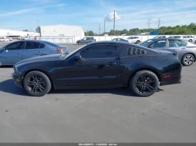 Ford Mustang 3.7L V-6 DOHC, VVT, 305HP Rear Wheel Drive - 13600 лв. / 6953.57 € - 11425389 6 | Car24.bg Ford Mustang 3.7L V-6 DOHC, VVT, 305HP Rear Wheel Drive - 13600 лв. / 6953.57 € - 11425389 6