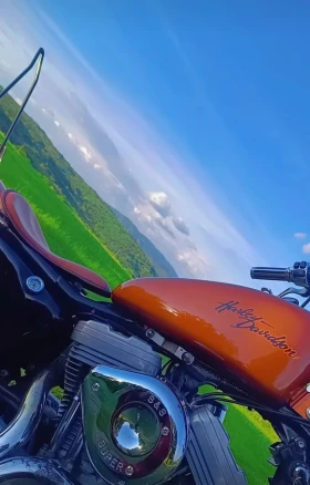 Harley-Davidson Sportster undefined | Auto.bg — изображение 5 Harley-Davidson Sportster undefined | Auto.bg — изображение 5