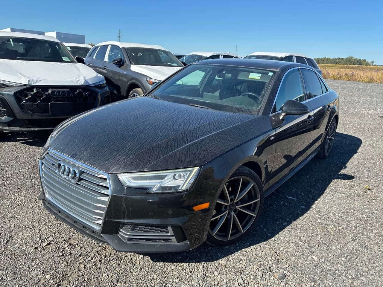 Audi A4 / ОТ ПРЕДСТАВИТЕЛСТВО НА АУДИ / АВТОКРЕДИТ | Auto.bg — изображение 1 Audi A4 / ОТ ПРЕДСТАВИТЕЛСТВО НА АУДИ / АВТОКРЕДИТ | Auto.bg — изображение 1