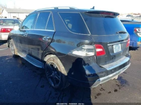 Mercedes-Benz ML 350 AMG PACK/DESIGNO/TV - 22900 лв. / 11708.58 € - 83370331 3 | Car24.bg Mercedes-Benz ML 350 AMG PACK/DESIGNO/TV - 22900 лв. / 11708.58 € - 83370331 3
