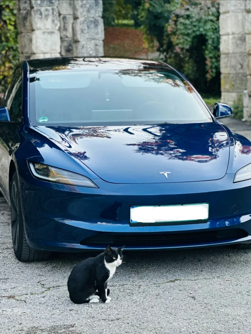 Tesla Model 3 HIGHLAND LR AWD Premium Европейска - 36900 € - 18685103 1 | Car24.bg Tesla Model 3 HIGHLAND LR AWD Premium Европейска - 36900 € - 18685103 1