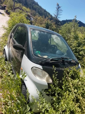 Снимка Smart Mc