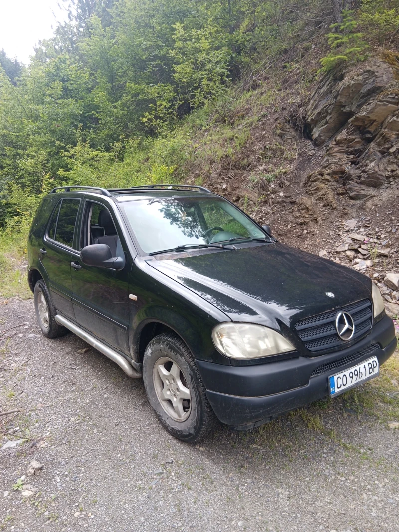 Mercedes-Benz ML 270 W163 | 6 + 1 места - 2500 € / 4889.57 лв. - 82218043 1 | Car24.bg Mercedes-Benz ML 270 W163 | 6 + 1 места - 2500 € / 4889.57 лв. - 82218043 1