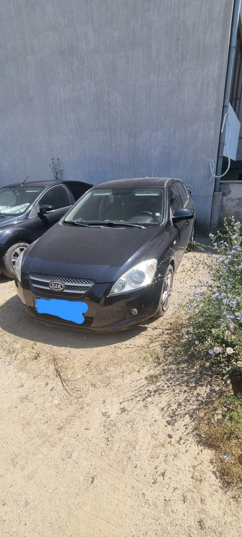 Kia Ceed undefined | Auto.bg — изображение 1 Kia Ceed undefined | Auto.bg — изображение 1