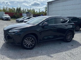 Lexus NX 450 H+ Автокредит Цена до България | Auto.bg — изображение 2 Lexus NX 450 H+ Автокредит Цена до България | Auto.bg — изображение 2
