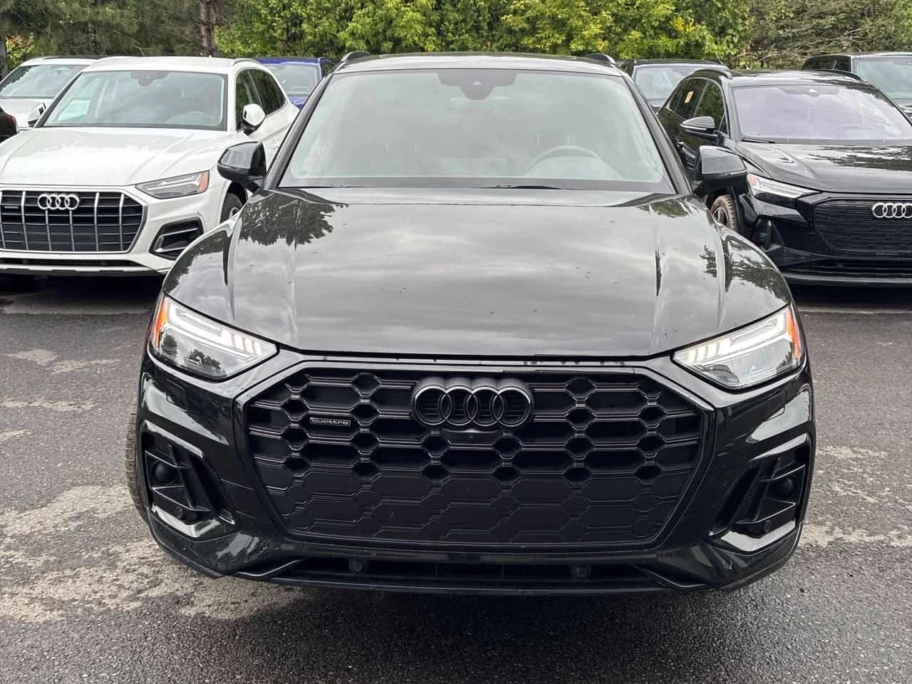 Audi Q5 Technik / CARFAX / ОБДУХВАНЕ / 360 КАМЕРИ / КЛИП | Auto.bg — изображение 1 Audi Q5 Technik / CARFAX / ОБДУХВАНЕ / 360 КАМЕРИ / КЛИП | Auto.bg — изображение 1