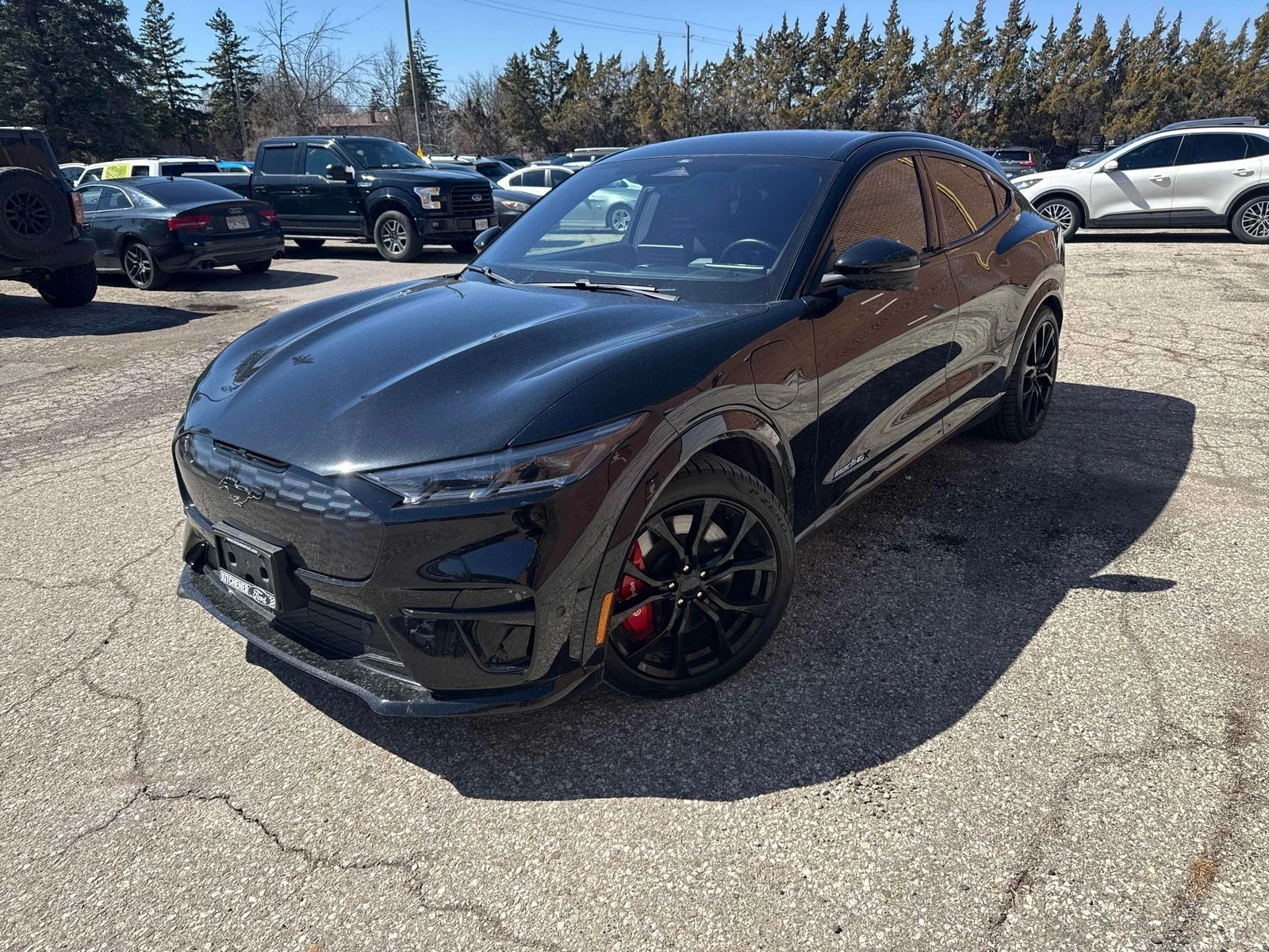 Ford Mustang Mach-E GT Performance Editio С РЕГИСТРАЦИЯ & АВТО КРЕДИТ | Auto.bg — изображение 1 Ford Mustang Mach-E GT Performance Editio С РЕГИСТРАЦИЯ & АВТО КРЕДИТ | Auto.bg — изображение 1