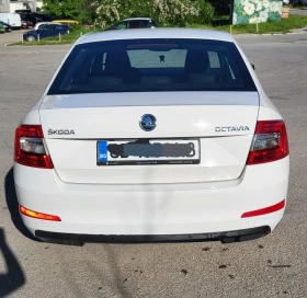 Skoda Octavia 2.0 TDI DSG сменен двигател на 130757км. - 7700 € / 15059.89 лв. - 30057643 9 | Car24.bg Skoda Octavia 2.0 TDI DSG сменен двигател на 130757км. - 7700 € / 15059.89 лв. - 30057643 9