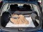 Обява за продажба на Mitsubishi Lancer 1.6 + газ ~1 800 лв. - изображение 8