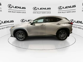 Lexus NX Premium | Auto.bg — изображение 5 Lexus NX Premium | Auto.bg — изображение 5