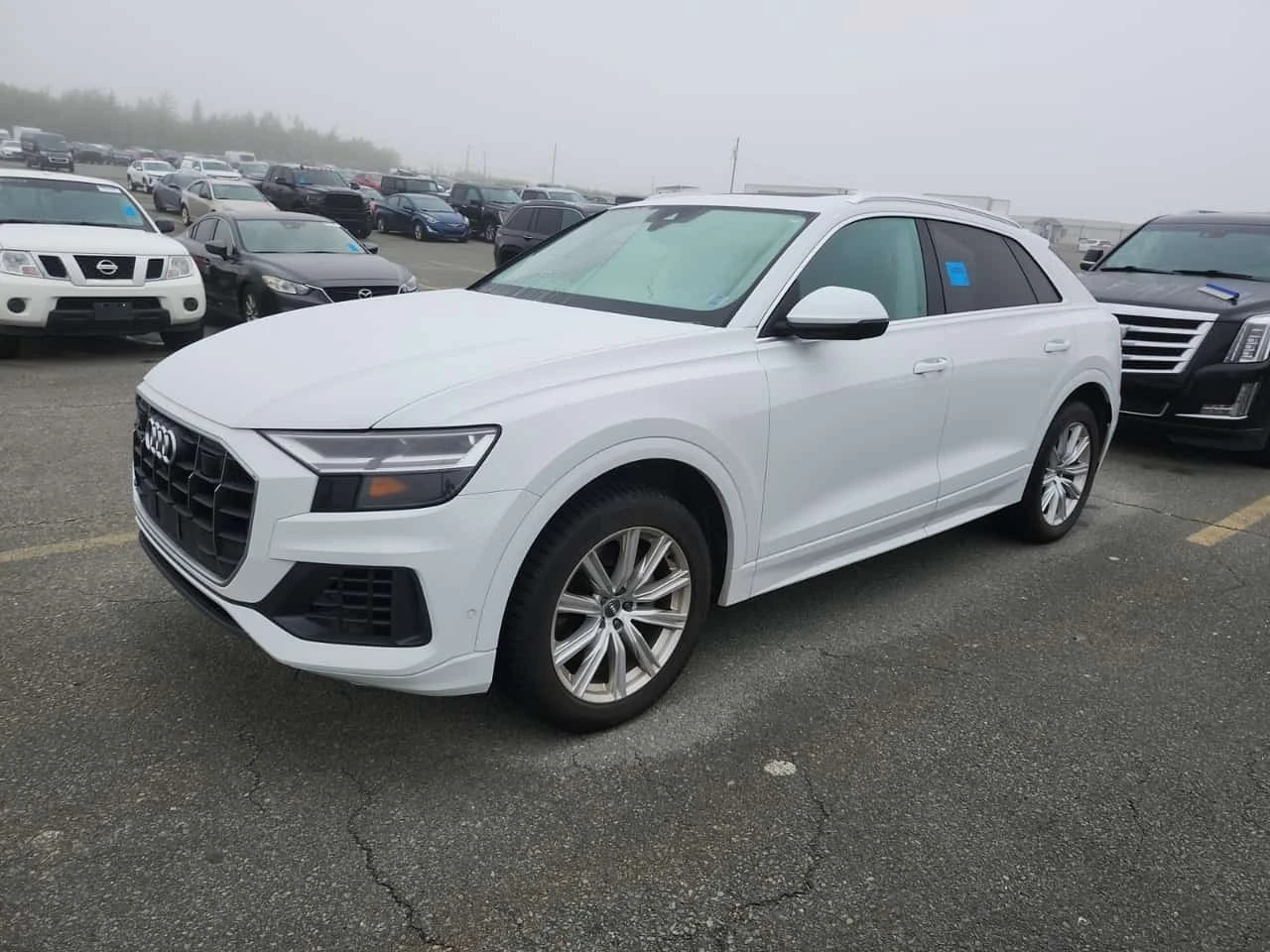 Audi Q8 55 Tfsi Quattro Progressiv / CARFAX / ОБДУХВАНЕ | Auto.bg — изображение 1 Audi Q8 55 Tfsi Quattro Progressiv / CARFAX / ОБДУХВАНЕ | Auto.bg — изображение 1
