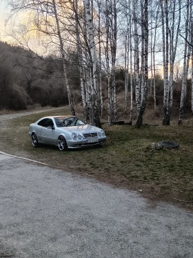 Mercedes-Benz CLK мн.добро газ - 4800 € / 9387.98 лв. - 72198154 12 | Car24.bg Mercedes-Benz CLK мн.добро газ - 4800 € / 9387.98 лв. - 72198154 12