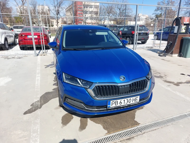 Skoda Octavia Edition 2.0 tsi 7DSG 4х4 - 24950 € / 48797.96 лв. - 19287014 1 | Car24.bg Skoda Octavia Edition 2.0 tsi 7DSG 4х4 - 24950 € / 48797.96 лв. - 19287014 1