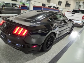 Ford Mustang * CARFAX * БЕЗ ПЪРВОНАЧАЛНА ВНОСКА - 20000 лв. / 10225.84 € - 76034840 3 | Car24.bg Ford Mustang * CARFAX * БЕЗ ПЪРВОНАЧАЛНА ВНОСКА - 20000 лв. / 10225.84 € - 76034840 3
