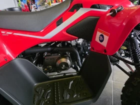 Cfmoto CFORCE 110 EFI - НОВ 0 км | Auto.bg — изображение 9 Cfmoto CFORCE 110 EFI - НОВ 0 км | Auto.bg — изображение 9