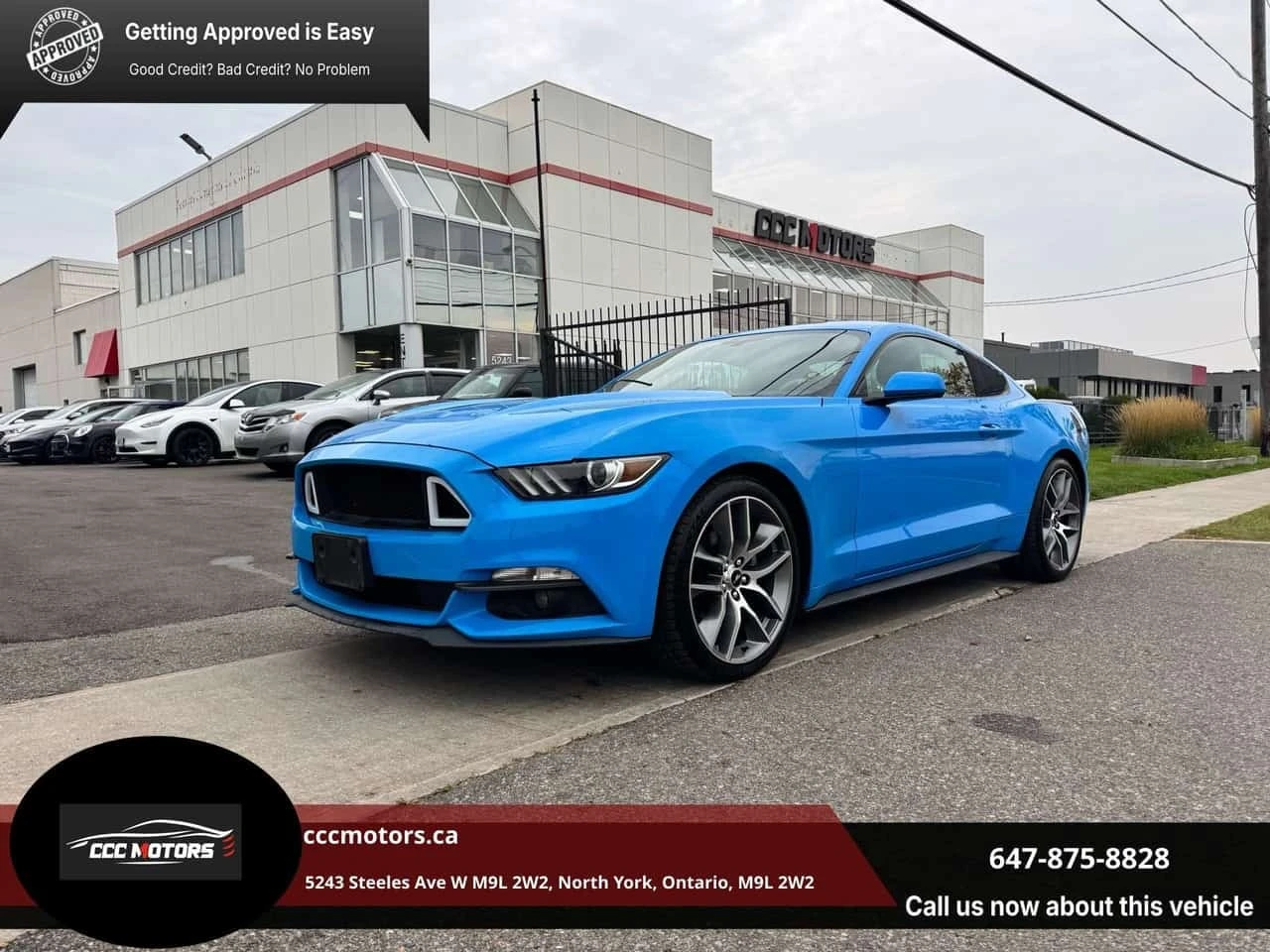 Ford Mustang * 2.3 EcoBoost Fastback EcoBoost TWO SET OF TIRE* | Auto.bg — изображение 1 Ford Mustang * 2.3 EcoBoost Fastback EcoBoost TWO SET OF TIRE* | Auto.bg — изображение 1