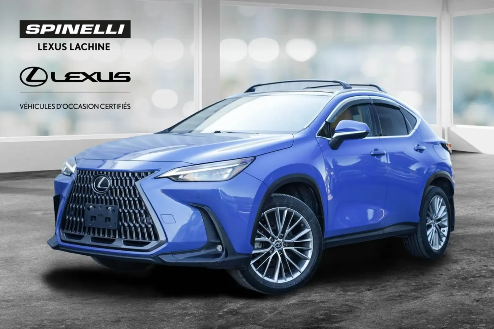 Lexus NX 350h ЛИЗИНГ БЕЗ ПЪРВОНАЧАЛНА | Auto.bg — изображение 1 Lexus NX 350h ЛИЗИНГ БЕЗ ПЪРВОНАЧАЛНА | Auto.bg — изображение 1