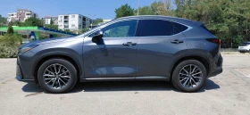 Lexus NX 350h undefined | Auto.bg — изображение 7 Lexus NX 350h undefined | Auto.bg — изображение 7