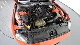 Ford Mustang Coupe 2.3 Ecoboost autogeorge.com | Auto.bg — изображение 9 Ford Mustang Coupe 2.3 Ecoboost autogeorge.com | Auto.bg — изображение 9