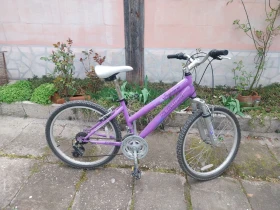 Honda 125 undefined | Auto.bg — изображение 5 Honda 125 undefined | Auto.bg — изображение 5