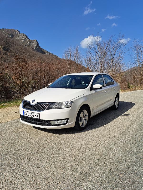 Skoda Rapid 1.6TDI - изображение 3