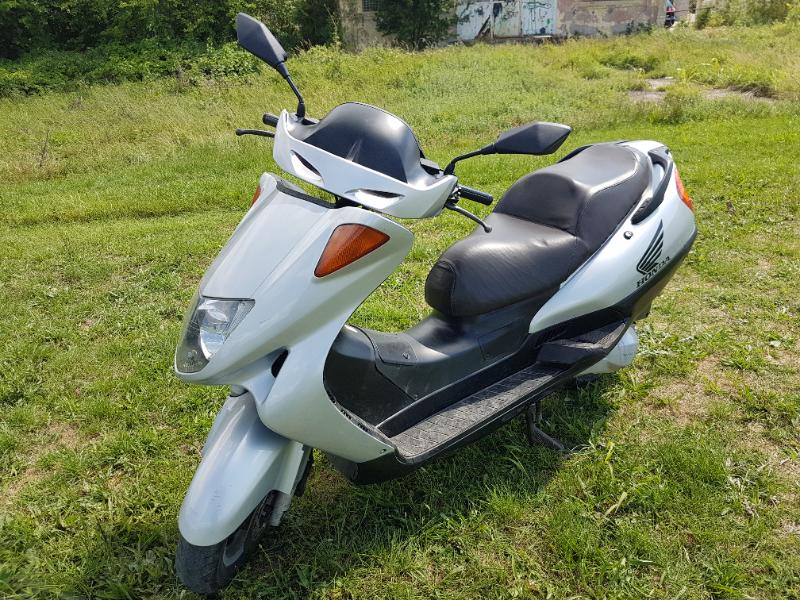 Honda Pantheon 150 - изображение 2