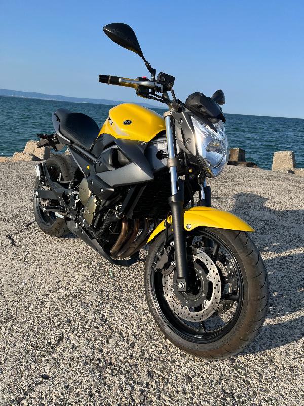 Yamaha XJ6 600 - изображение 3