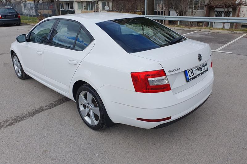 Skoda Octavia Vision TDI  - изображение 4