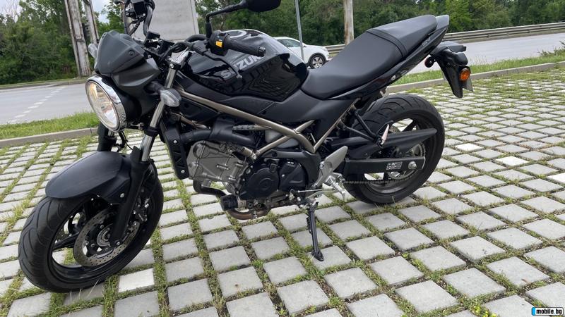 Suzuki SV 650 - изображение 3