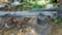 Обява за продажба на Сенокосачка Vicon 3 метра ~5 500 лв. - изображение 6