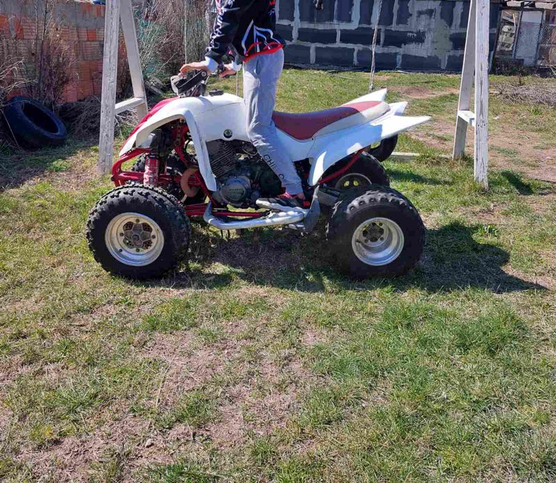 Yamaha Raptor  - изображение 4